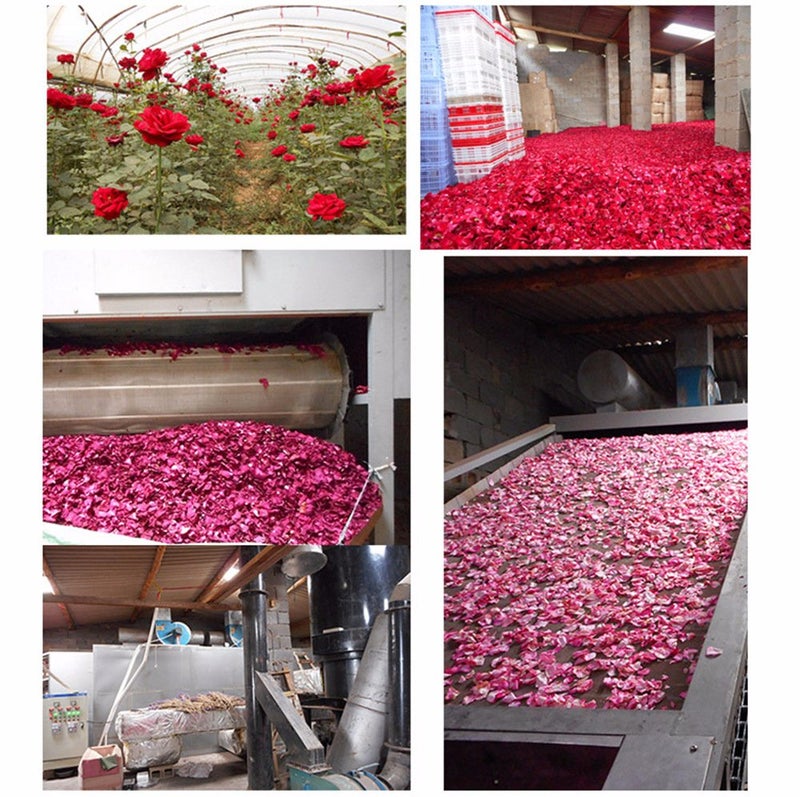 TooGet Natural Dried Rose Petals | Herbal Tea & Baking Ingredients | Wedding & Party Decor | Bath, Body & Foot Wash | Crafting & Potpourri - 2OZ - Image 4